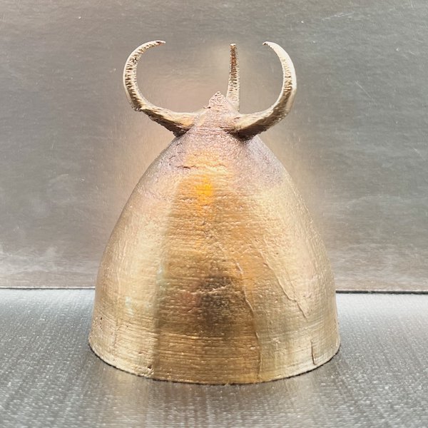 Coptotriche Badiiella