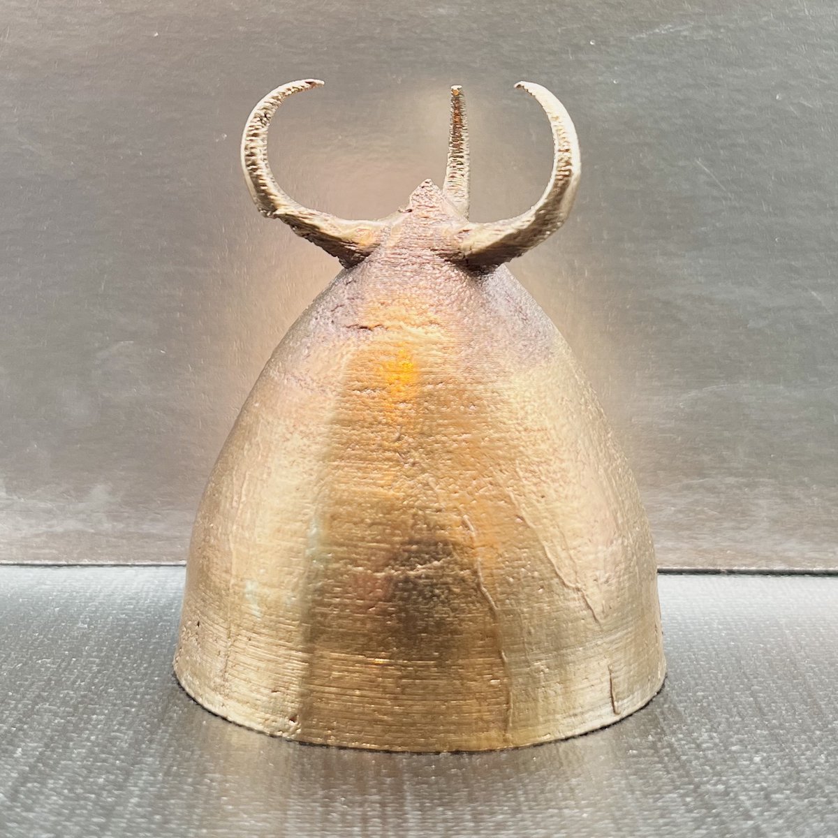 Coptotriche Badiiella