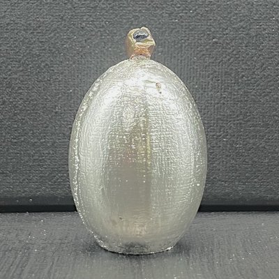 Hypotrix Hueco